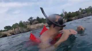 Sunset Snorkel - Negril Jamaica August 2019