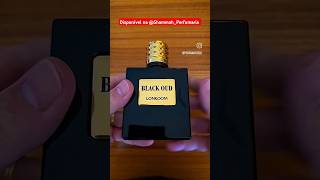 Black Oud de Lonkoom perfumaço pra arrasar no ambiente de trabalho 🤯 #perfanaticos #perfumeimportado