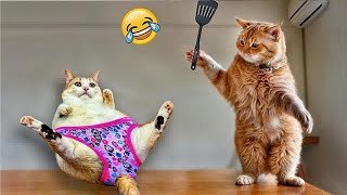 Best Funny Animals 2024 😍 Funniest Dogs and Cats 😻🐶