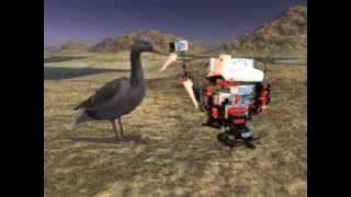 ROBOT GOOSE