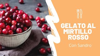 Corso di #Gelato - Gelato artigianale naturale e sano al mirtillo rosso