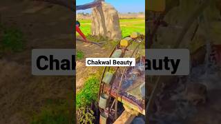 Chakwal ki Beauty Hunting field