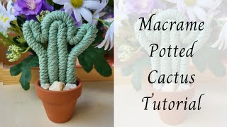 Macrame Potted Cactus Tutorial 🌵