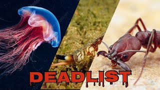 The 10 Most Venomous Animals In The World!(Not Just About Snakes)-PART 1