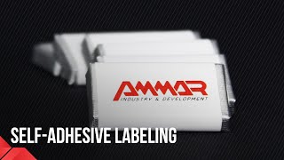 Band self-adhesive Labeling machine (LMb80) by Ammar Machinery