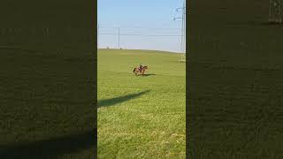 Na końském hřbetu-on horseback