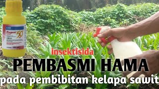 Racun hama pada pembibitan sawit