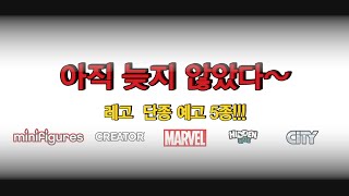 [레고 단종예정] LEGO 2021 단종예정 5종 (레고는 보일 때, 사야하는 거 RG?)