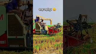 Shahjahanpur #shorts #video शाहजहांपुर