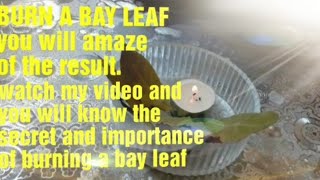 BURN a BAY LEAF it combat chronic fatigue,Good for the health