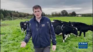 KM Heifer Developer