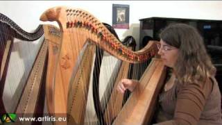 Cours de harpe celtique Paris - Eve McTelenn