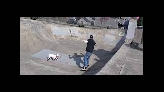 Skate Session at the Milton Skatepark