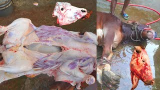 Cutting Skills | Meat Cutting | Qurbani | Animals