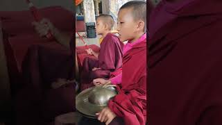 Little Nuns at Tsungon Pema Yoebarling Gonpa | Buddhist Nuns | Bhutan