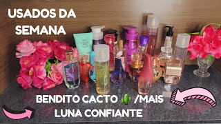 Usados da semana+luna confiante+Bendito 🌵#michelelisi#benditocacto#lunaconfiante