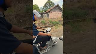 Charity Riding Bagi Takjil #minivlog #vlog #riding #belinyu #bangka #bukapuasa #shorts #takjil