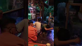 Serunya pilih" ikan hias d muncar #dangdutkoplo