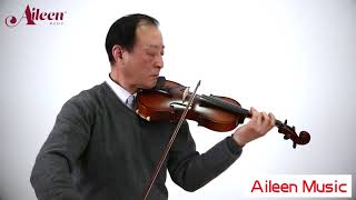 [Aileen Music] Entry-level acoustic violin for students (VG103)