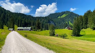 Am Schwarzenbach zur Schwarzentenn-Alm (14.Juli 2020 - in 4K)