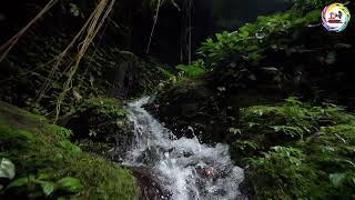 Tracking Shot of a Small Waterfall