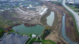 Flock of birds, ponds and streams, chasing traffic, and some new construction.