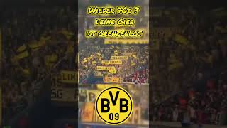 Wieder 70€, deine Gier ist grenzenlos #bvb vs. #psg #wucher