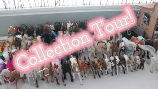 Collection Tour! -2021-