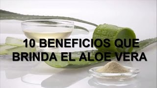 10 BENEFICIOS QUE BRINDA EL ALOE VERA