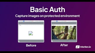 Basic Authentication now supported on Marker.io