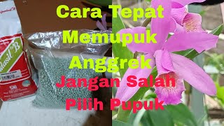 Cara Tepat Memupuk Anggrek, Jangan Salah Pilih Pupuk/The Right way to Fertilize Orchids