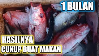 Mancing Ikan Kakap Merah Hasilnya Cukup Buat Makan 1 Bulan