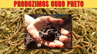 FAZENDA DE MINHOCAS! Como Criar Minhocas Para Produção de Adubo.