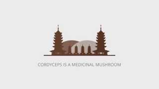 What is Cordyceps? Health Benefits Of Cordyceps Mushroom