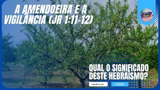 A AMENDOEIRA E A VIGILÂNCIA (Jr 1:11-12) | Qual o significado deste hebraísmo?