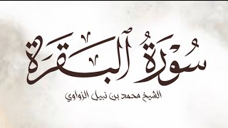 تلاوة خاشعة من سورة البقرة || الشيخ محمد بن نبيل الزواوي