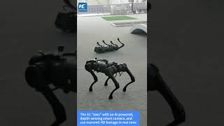 China's Unitree shows off latest quadruped robots at services trade fair in Beijing