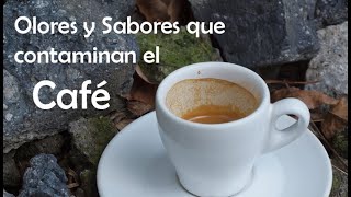 OLORES  Y SABORES QUE CONTAMINAN EL CAFÉ