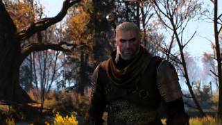 The Witcher 3  - Launch Trailer (PC/PS4/XBOX ONE)