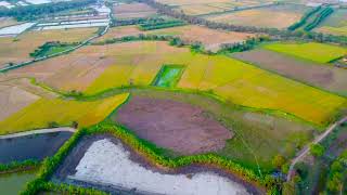 Village Drone View ll Creative Idea ll 4k Videos