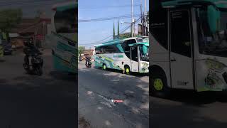 Klakson Telolet Putra Prasojo X Pradana Trans #busmania #basuri #busmaniacomunity #trending