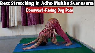 Stretching In Adho Mukha Svanasana | Downward Facing Dog Pose | @yogaanytime_with_NK