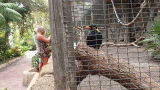 Tenerife Jungle Park - talking bird