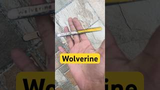 Wolverine themed popsicle |#andc|🐺💪|craft.