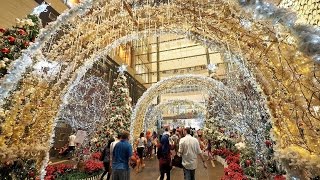 Tallest Swarovski Christmas Tree in Asia - Christmas Sparkles @ Pavilion KL