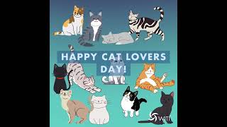 Happy cat lovers day!