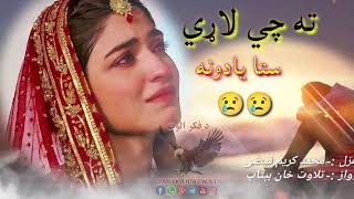 ته چي لاړي ستا یادونه به مې اخوري||Pashto New 2024 poetry|New pashto ghazal||Sad shairi||Best ghazal