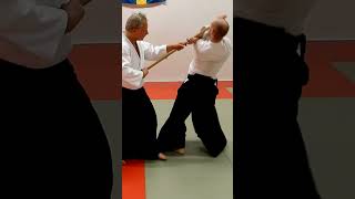 Aikido techniques against JO (staff) attacks, JO DORI, by Stefan Stenudd