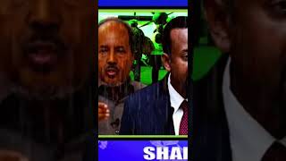 somali wey diidat nabada