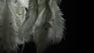 Feathers - Fuorisalone 2017